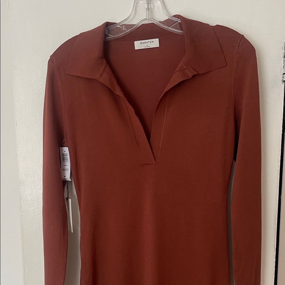 Babaton Terracotta Long Sleeve Dress